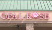 photo of custom painted individually mounted illluminated channel letters